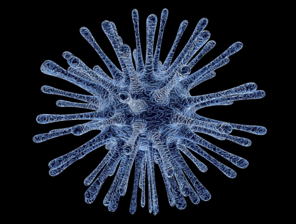virus-213708_1280